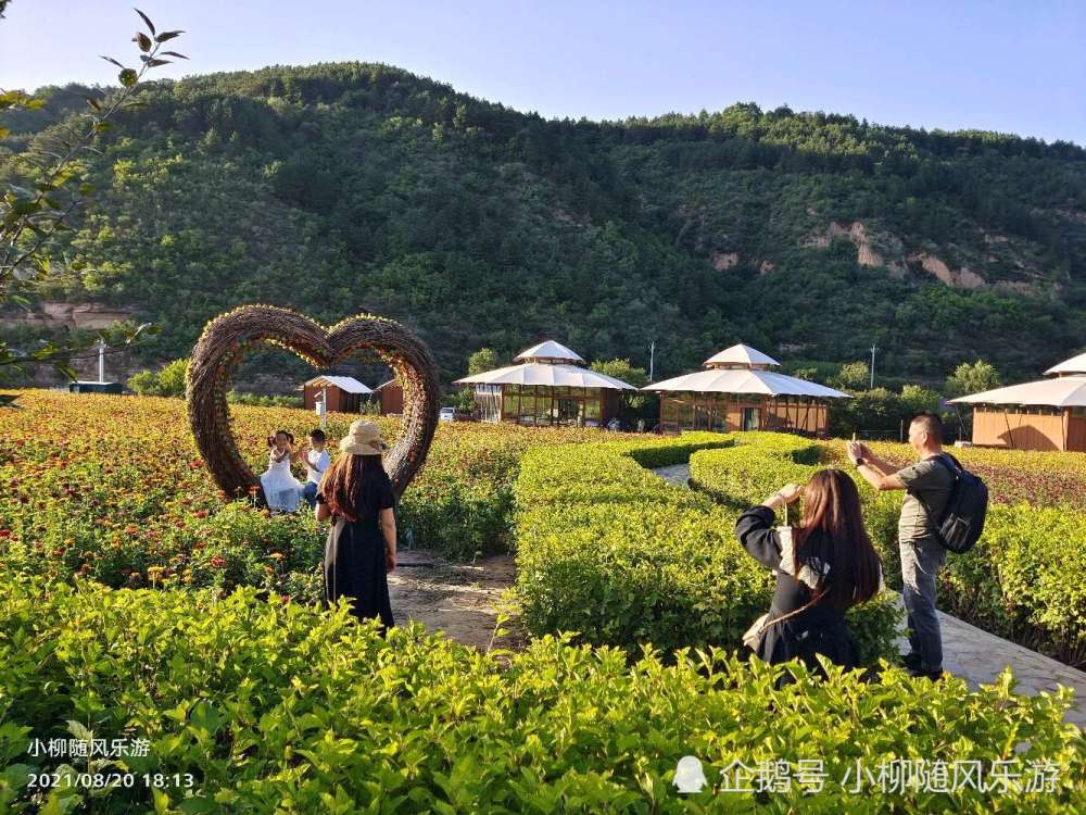 甘肃庆阳合水花溪谷太美了美的让人窒息完全徜徉在花的海洋里