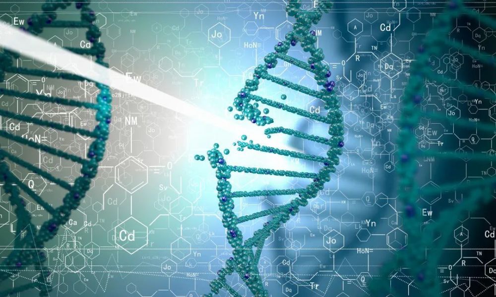 同时af2将会成为实验结构生物学的重要工具,并推动相关领域的进一步