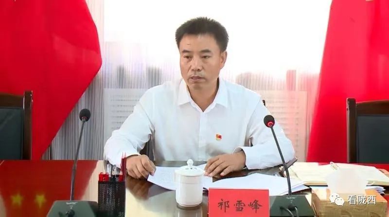 祁雪峰参加党史学习教育专题组织生活会