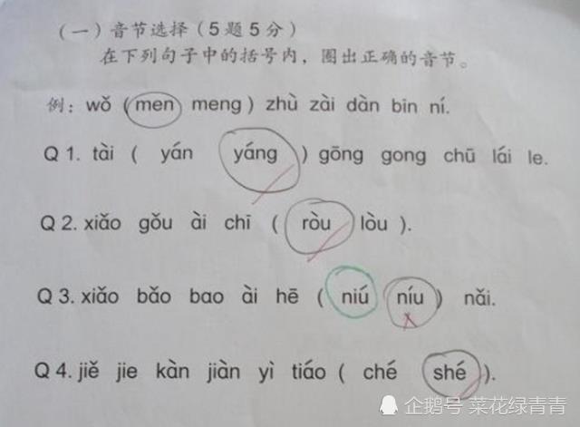 教案教学后记怎么写_骑牛比赛教学后记_基础护理教案后记怎么写