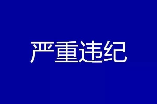 副局长,四级高级警长李金生严重违纪违法问题进行了审查调查