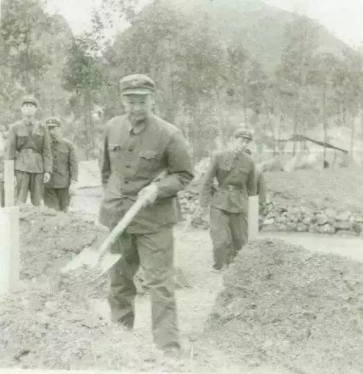 (张志信师长为儿子料理后事)张力,父亲是160师师长张志信,参战时张力