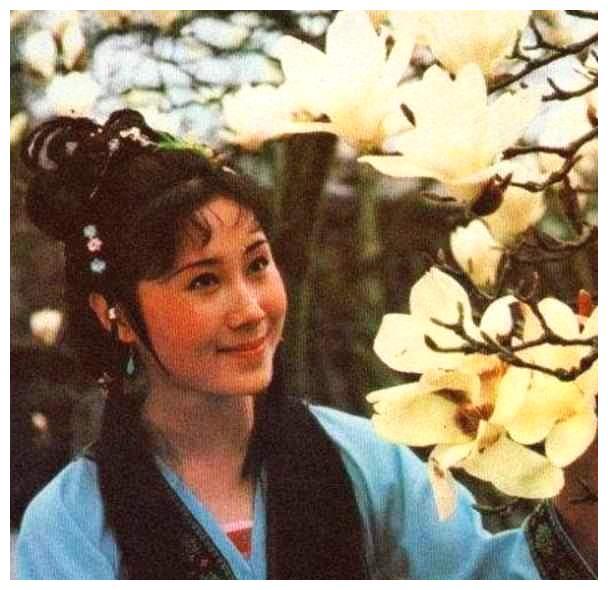 "牧羊女"丁岚:当红移民新加坡,落魄后回国"捞金",今成