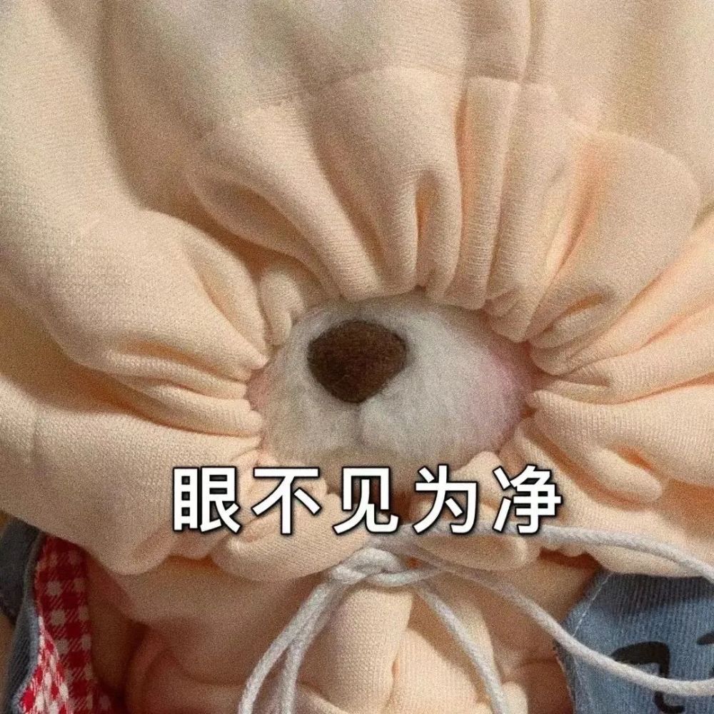 小熊表情包|委屈屈,要抱抱