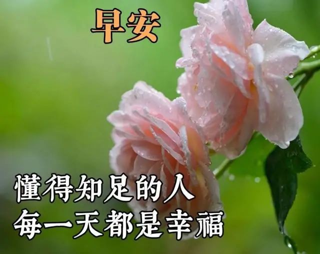早上好朋友,精美的早上问候表情图片大全 微信群早上正能量语录图片
