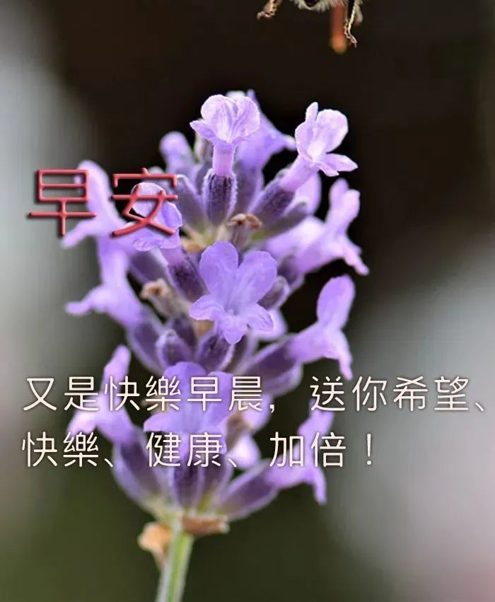 8月22日早上好|每日问候