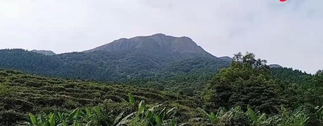 广西贵港最高山峰平天山大山脉主峰高达11578米