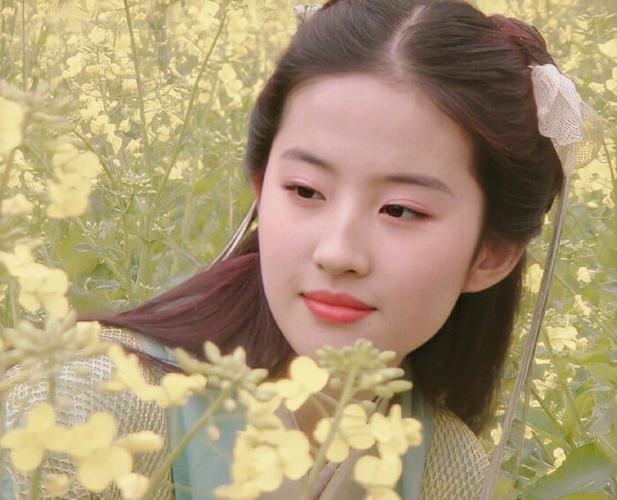 刘亦菲|赵灵儿