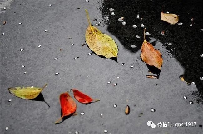 靖良:清明时节已让人思绪缕缕绵绵,偏偏又是细雨纷纷,更让人触景伤怀