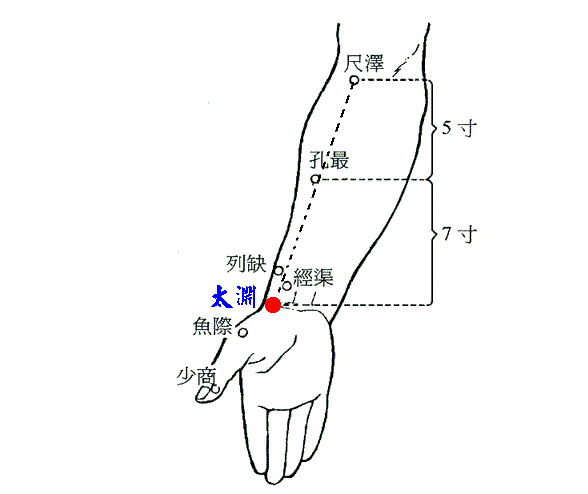 《黄帝内经太素·黄帝内经明堂》曰:「注于太渊,为输,土膊.