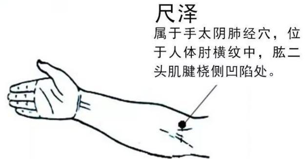 《黄帝内经太素·黄帝内经明堂》曰「入于尺泽,为合,水也.