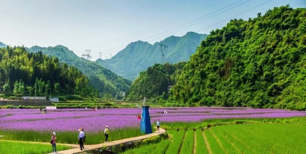 永州这些景区已开放!快来抓住"夏天的尾巴"