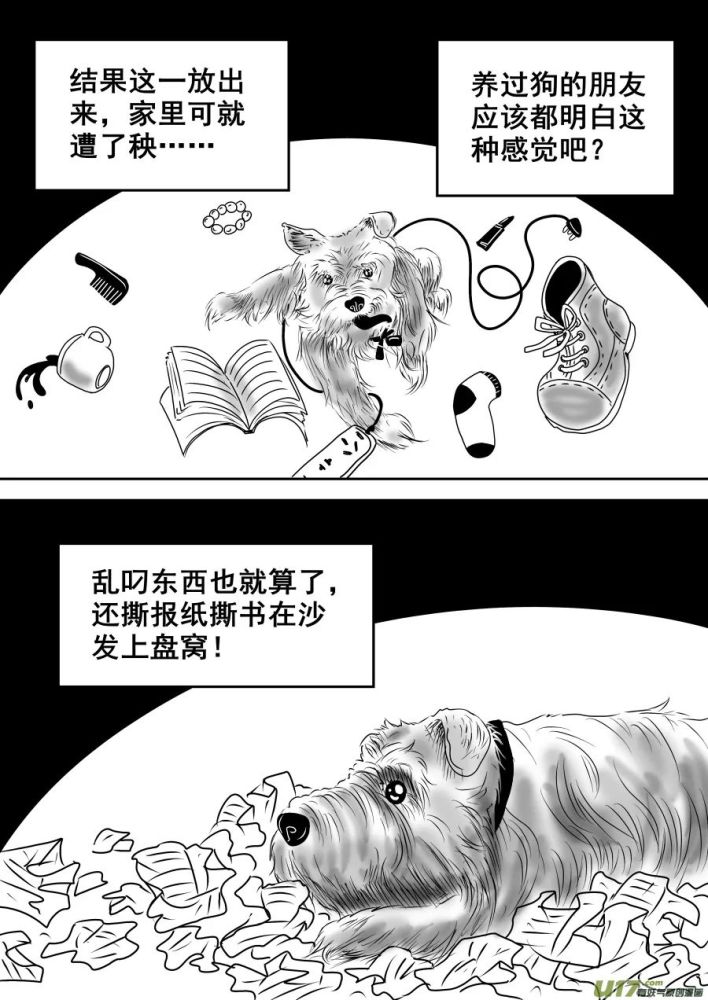 短篇诡异漫画《一只狗的自我反省》