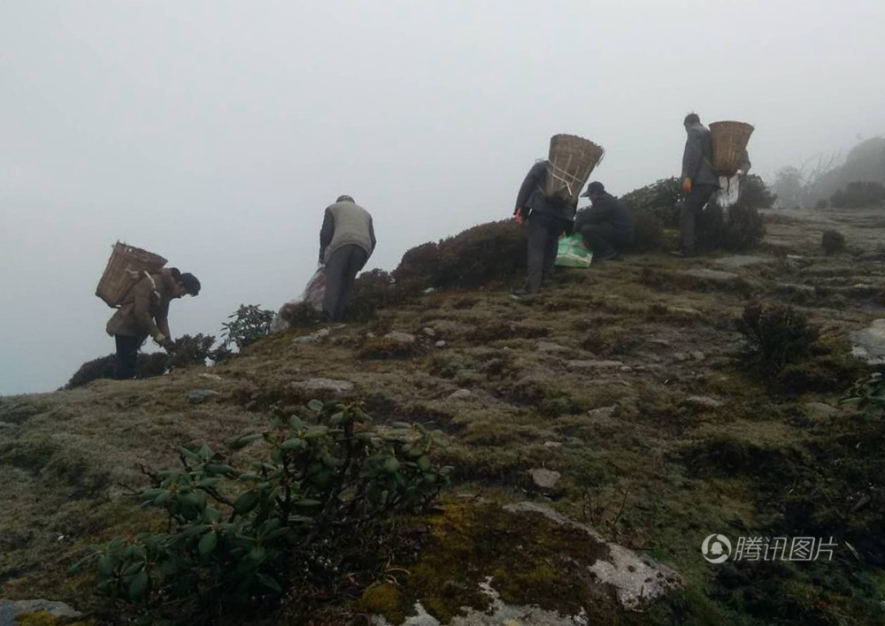 “中国最大观景台”牛背山变垃圾山 (高清组图)