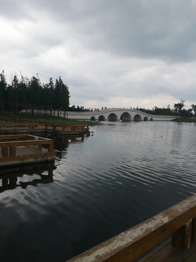 什邡城区最美的公园——雍湖,杨柳绿了荷花开了,你的