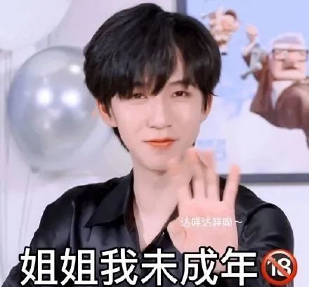 贺峻霖表情包