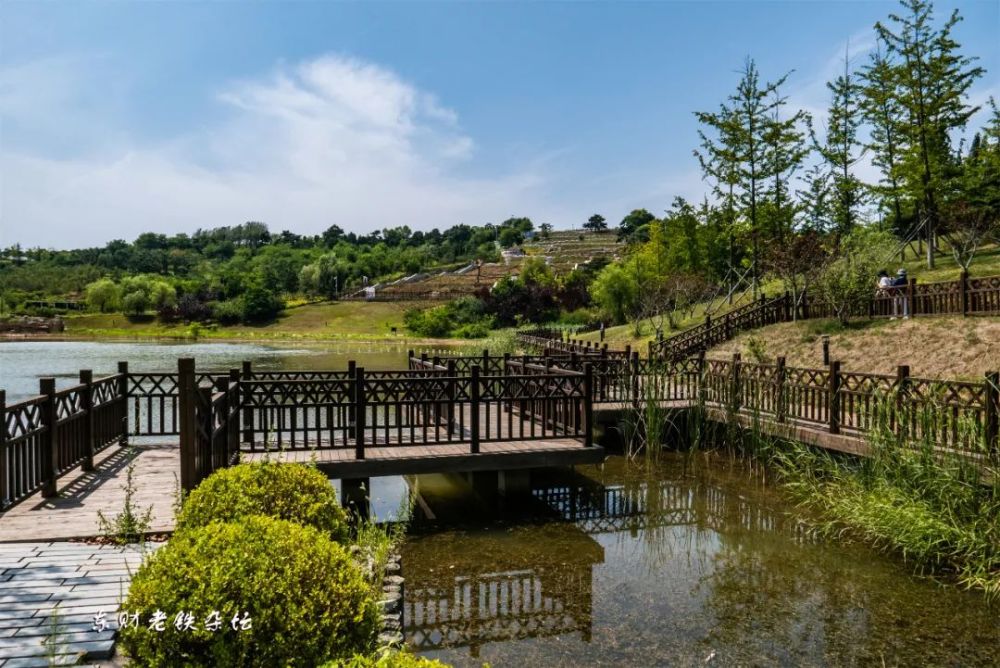 大连金石滩植物园游记
