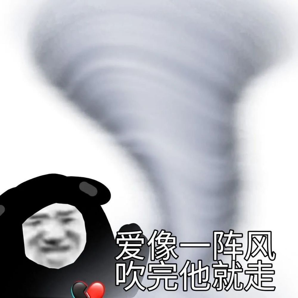 表情包 爱像一阵风吹完他就走