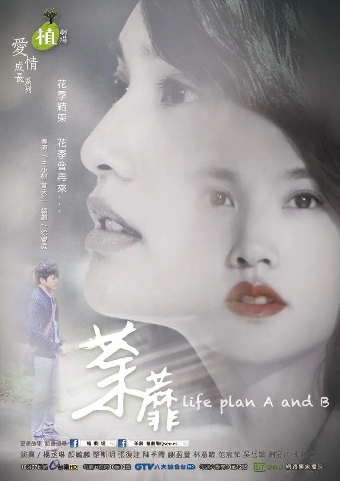 拾染短剧度，一场视觉与情感的微妙旅程，拾染短剧之旅，视觉与情感的微妙交融
