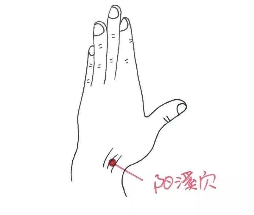 刮眼眶可以刺激攒竹,鱼腰和丝竹空穴.