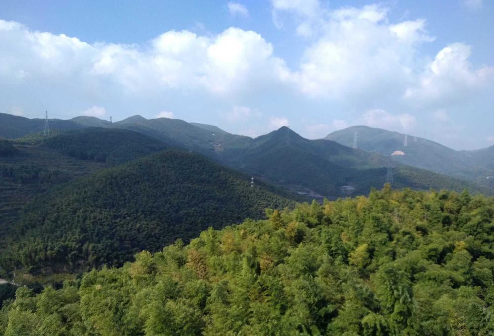 全国单体面积最大的竹林集中地,就在浙江宁波的浙东大竹海景区