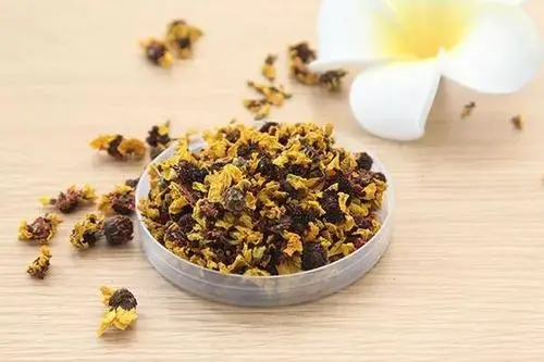 胎菊的功效与作用胎菊怎么泡水喝