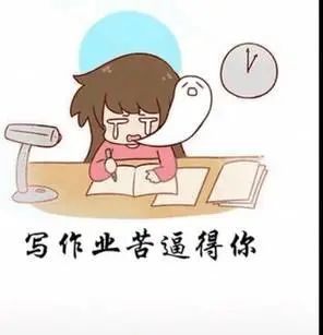 表情|写作业表情包搞笑