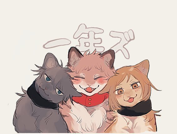 咒术回战拟猫化,猫化五条悟挤压主角团,黑猫伏黑惠面无表情
