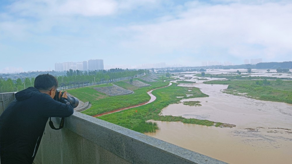 西安灞渭桥看灞河入渭口湿地是城北最靓风景