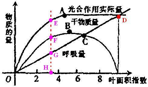 参与和控制了很多的过程,像光合作用,呼吸作用,蒸腾作用等等