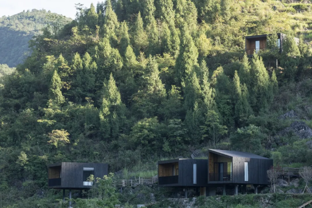4个青年跑到贵州山村给当地建10栋山间木屋助力一个村庄重生