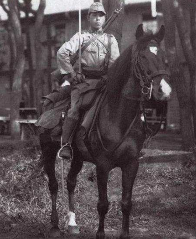日本鬼子人矮马也矮,二战却能调动数十万匹高大战马,又是从哪来