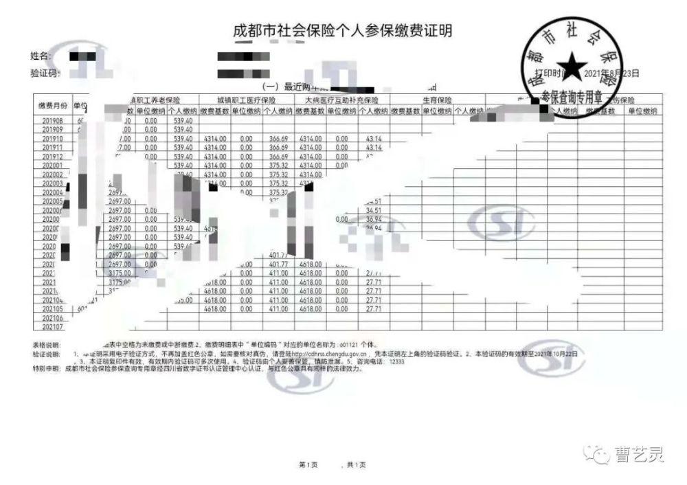 成都社保明细查询