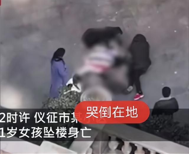 江苏一11岁女孩坠楼身亡,母亲现场痛哭捶地:因作业与她发生争吵