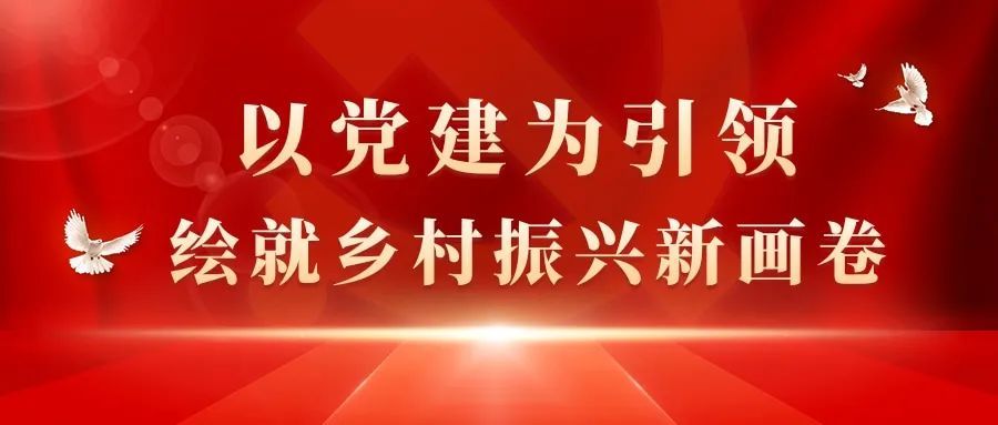 旬邑以党建引领绘就乡村振兴新画卷