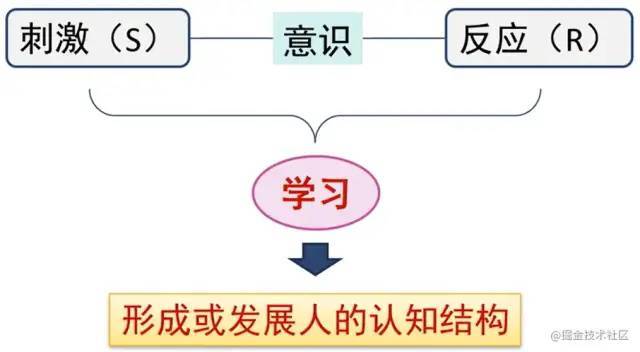 主动地,有选择地获取刺激并进行加工,通过学习形成或发展人的认知结构