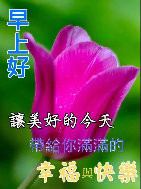 2021年8月24日早晨精选祝福语录,早安祝福图片大全