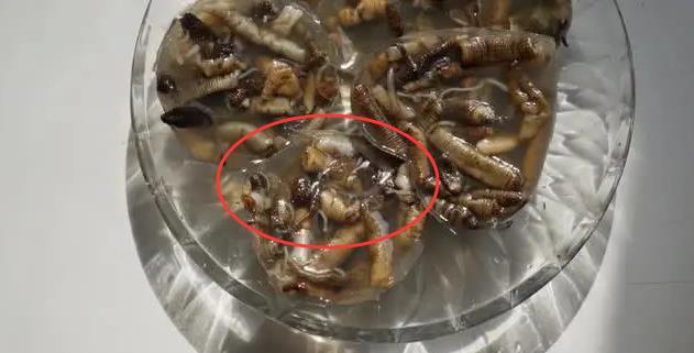 厦门"最恶心"的特色美食,吓坏外地游客,厦门本地人却非常喜欢