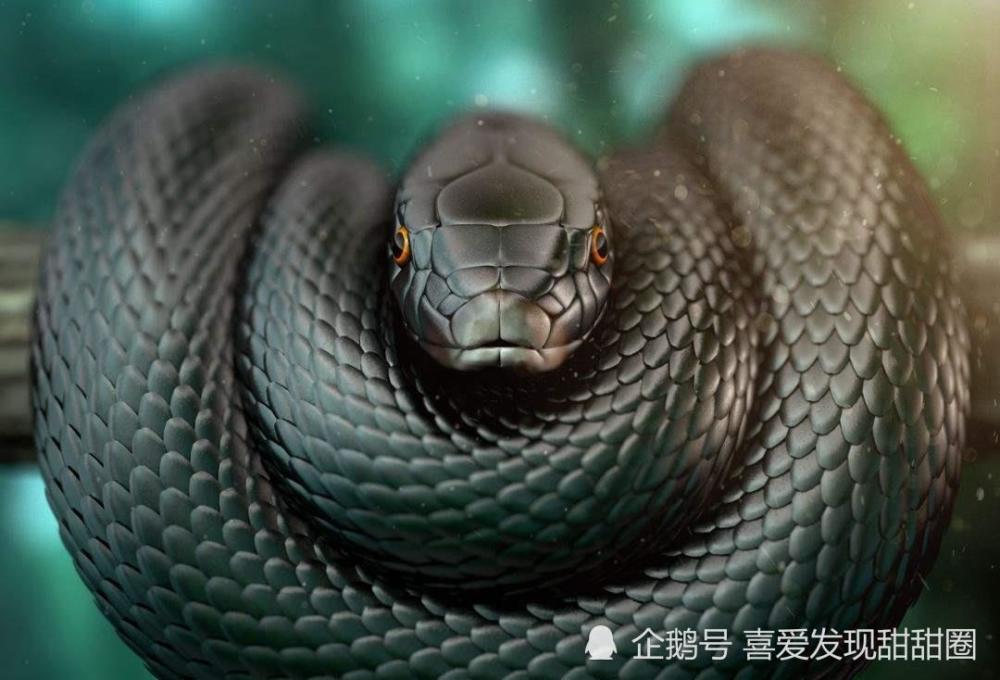 地球上最恐怖的几种动物,贝爷遇上它们都只能自求多福