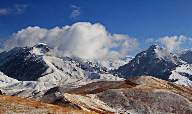 祁连山—我国生态最丰富的山川,也被誉为"冰源水库"