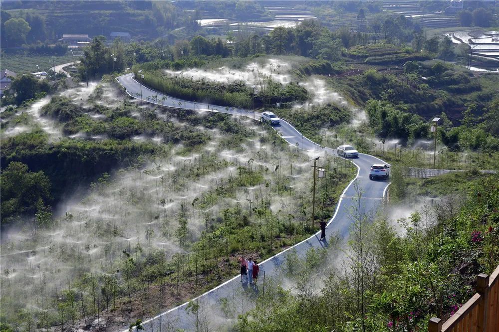 《水利兴 产业兴》2020年4月,宜宾市南溪区刘家镇大庙村雷竹产业园.