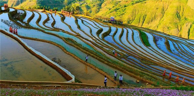 《梯田风景》 2016年5月,攀枝花市米易县新山傈僳族乡新山村.