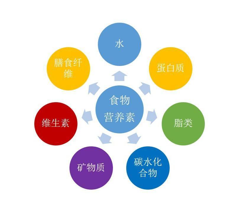 人体42种必需营养素你知道多少