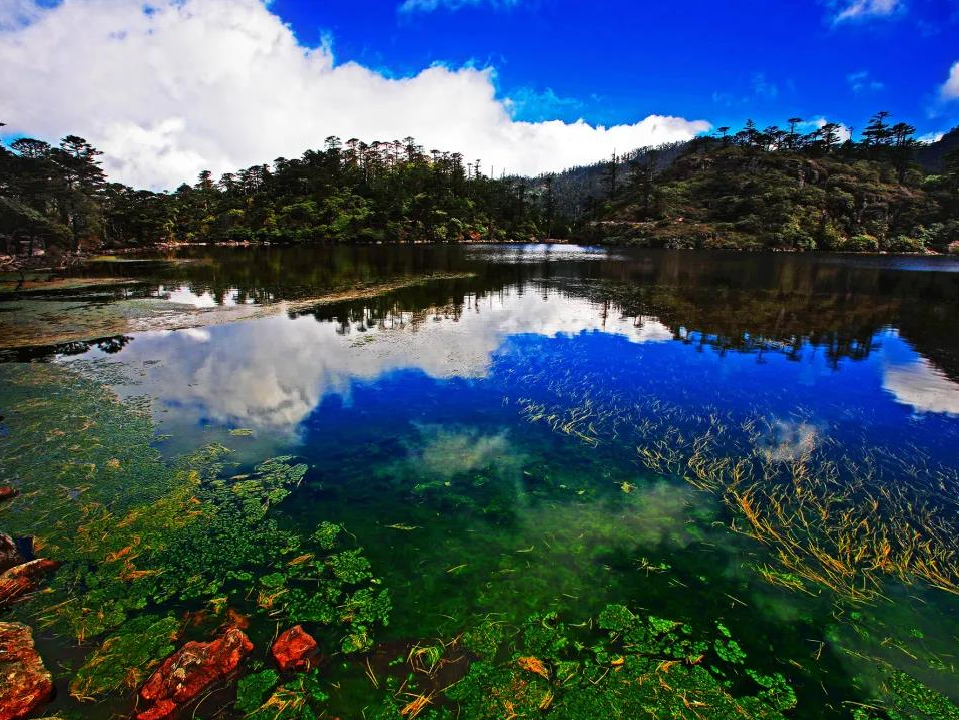 遇见天府旅游名县丨西昌,最美川南春城