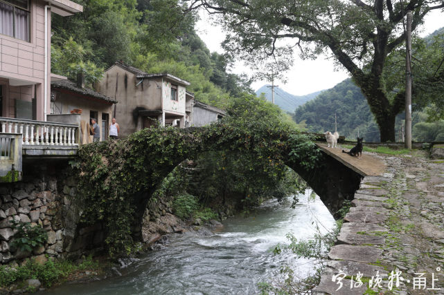 奉化城区西南,有这样一座藏在公路尽头的小山村