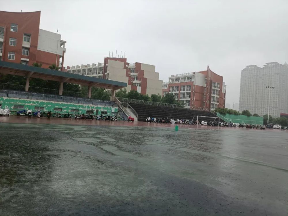 暴雨过后,郑大无恙!