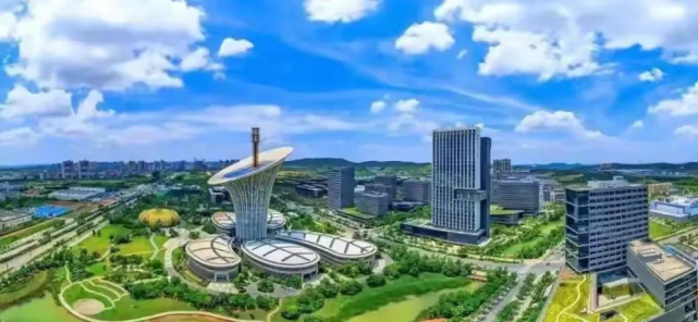 有网友说,武汉国家级新区最开始规划的是四新,然后是光谷,接着是东西