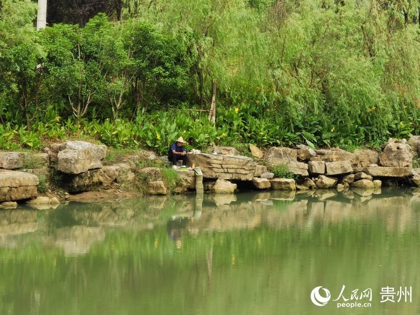 贵阳森林公园:带你感受自然野趣