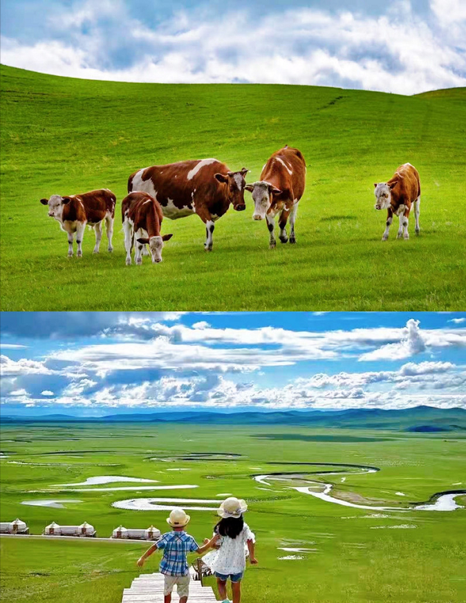 内蒙古一美丽草原,风景优美,水草丰美,还是游牧民族的发祥地