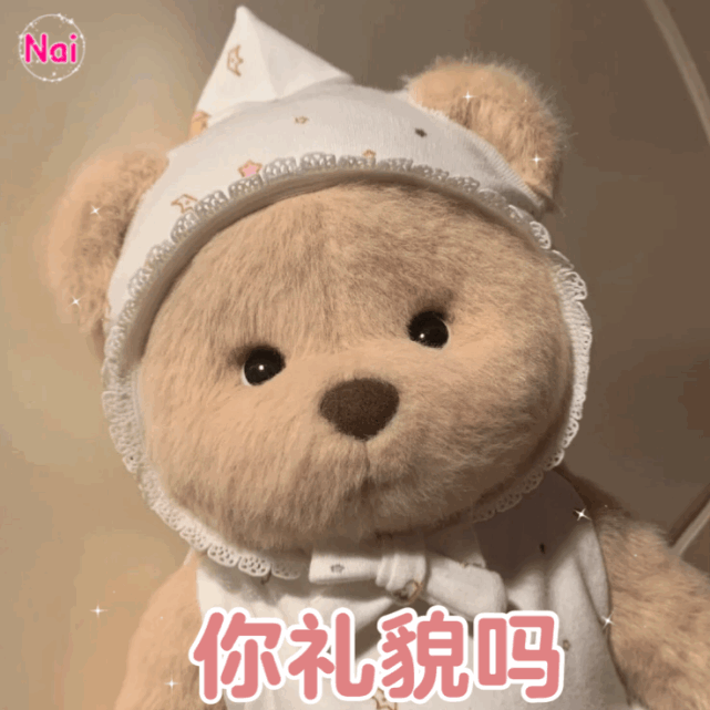 玩偶莉娜熊 毛绒网红熊表情包